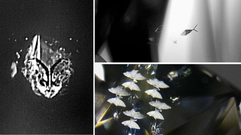 Unusual Inclusions in Diamonds Capture Animal and Artistic Forms