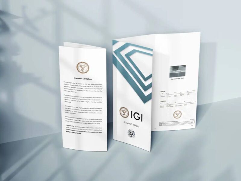 IGI Prepares for IPO on Indian Stock Exchanges